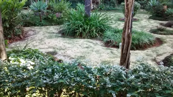 Faculdade de Ciências da Saúde