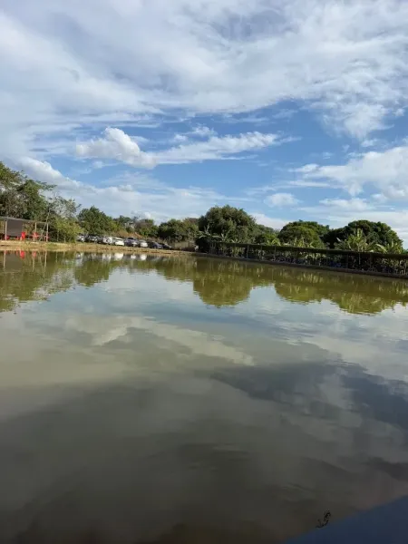 Pesque-Pague Tilápias Brasília