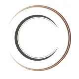 Logo Clinica Contorno Corporal
