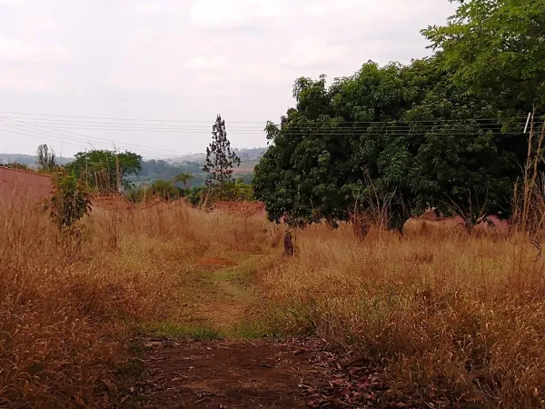 Campo Airsoft Vila F.A.B.E