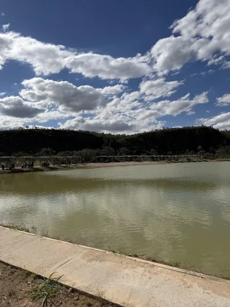 Pesque-Pague Tilápias Brasília