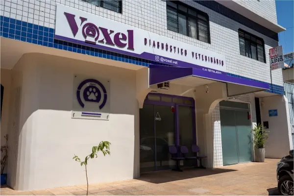 Voxel
