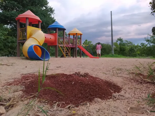 Parque Ecológico da Asa Sul