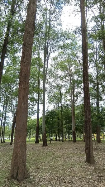 Parque Ecológico Três Meninas