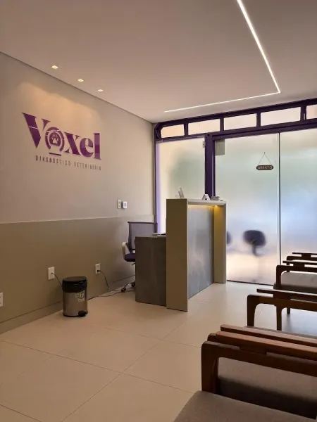 Voxel