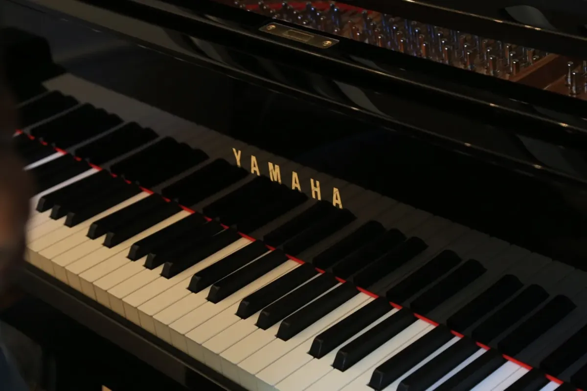 Teclado de piano de cauda preto com teclas brancas e pretas em primeiro plano