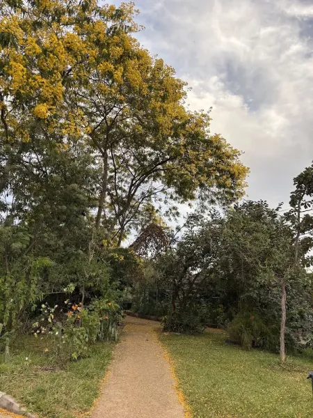 Parque Ecológico do Riacho Fundo