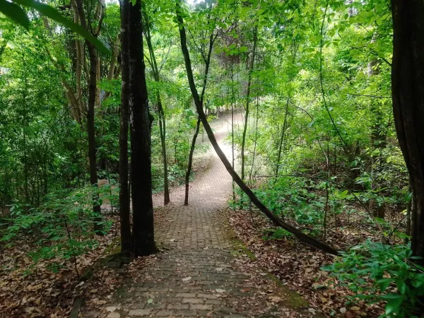 Parque Ecológico Olhos d'Água