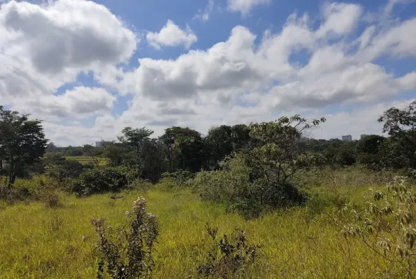 Parque Ecológico Ezechias Heringer (Parque do Guará)