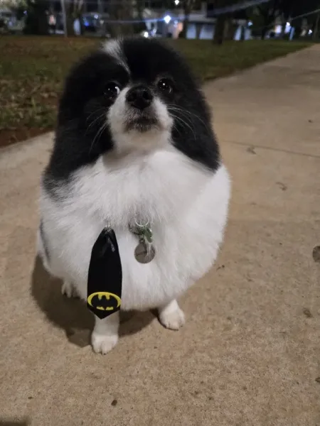 B&B Petzone