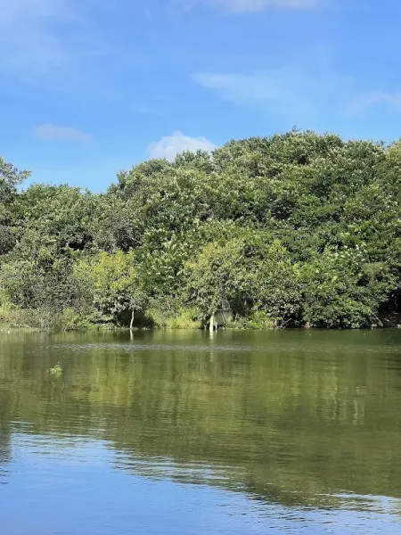 Margem do lago