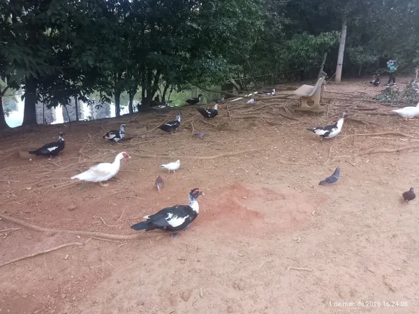Parque Ecológico de Águas Claras