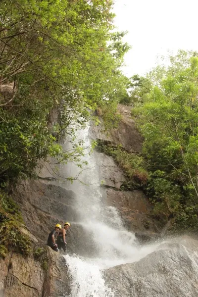 Cerrado Vertical