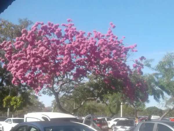 Chácara Santa Clara