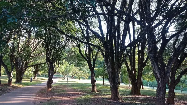 Parque Ecológico de Águas Claras
