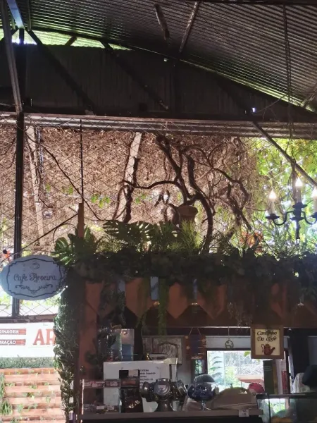 Pau Brasília Viveiro Eco Loja