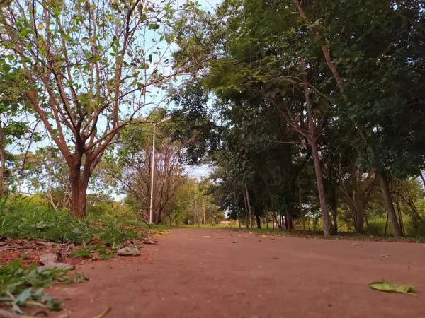 Parque Ecológico da Asa Sul