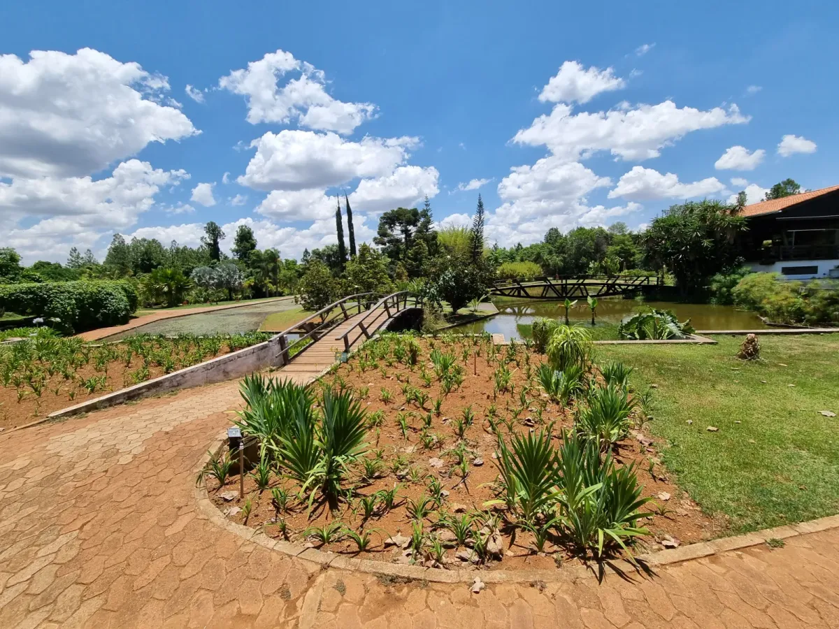 Lago e pontes de madeira no Jardim Botânico de Brasília. Foto: Fronteira/Wikimedia Commons (CC BY-SA 4.0), de outubro de 2023.