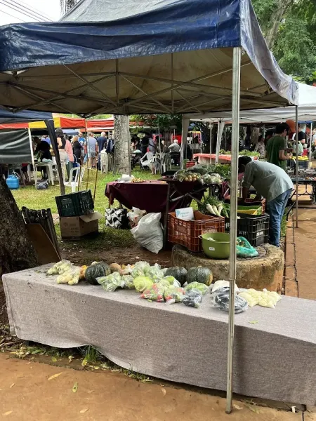 Feira Agroecológica da Ponta Norte