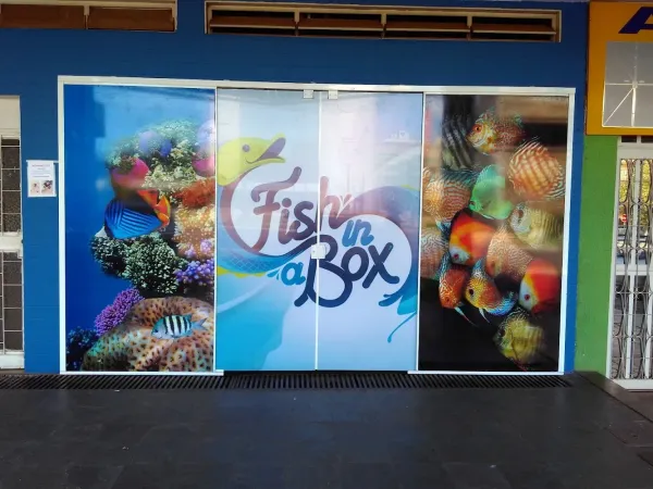 Fish In a Box Aquários