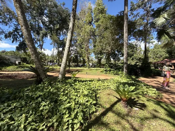 Jardim Botânico de Brasília