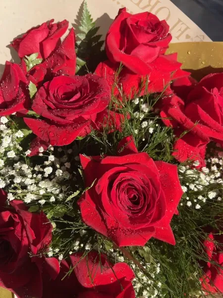 Internacional Flores