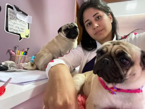 Dogs e Cats