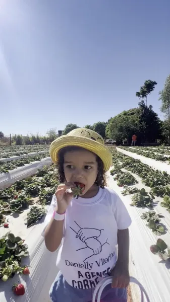 Vida Rural Brasília