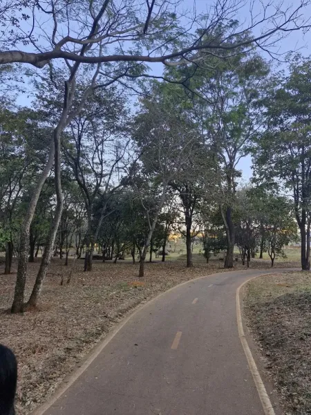 Parque Ecológico do Cortado