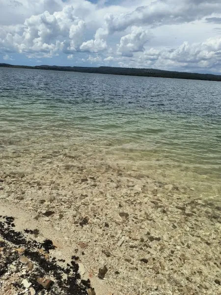 Água rasa e transparente perto da margem