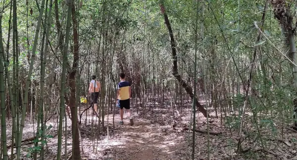 Parque do Guará