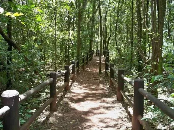 Parque Nacional de Brasília (Água Mineral)
