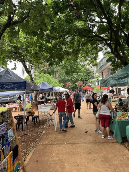 Feira Agroecológica da Ponta Norte