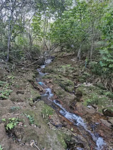 Parque Ecológico do Cortado