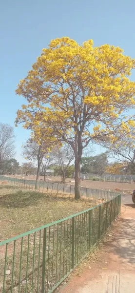 Zoológico de Brasília