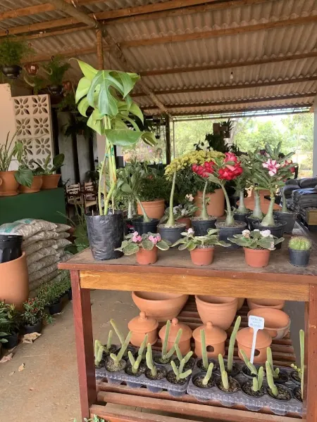 Paisagem Nativa