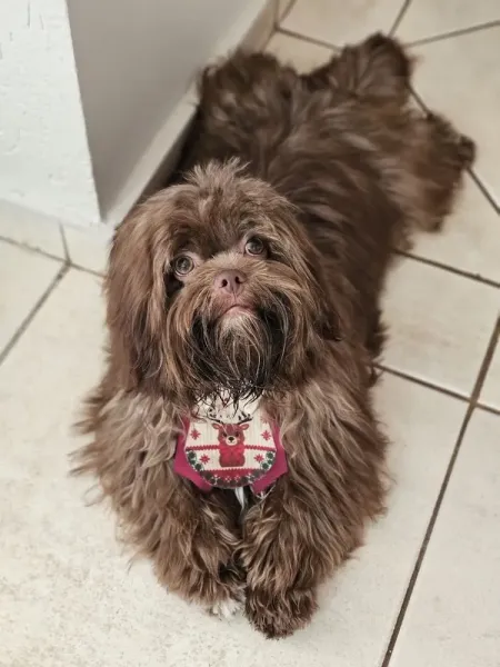 B&B Petzone