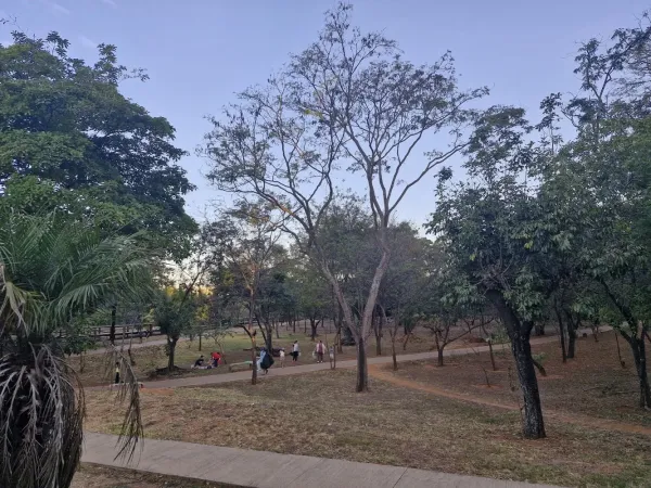 Parque Ecológico do Cortado