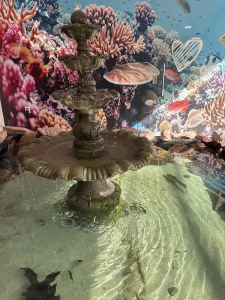 Oceânica Aquarismo