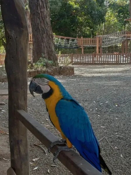 Chapada Imperial