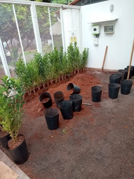 Ô Seu Jardinista