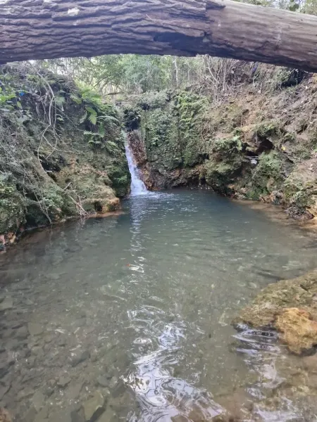 Parque Ecológico do Cortado