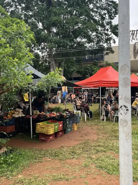 Feira Agroecológica da Ponta Norte