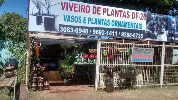 Viveiro De Plantas E Floricultura DF-20