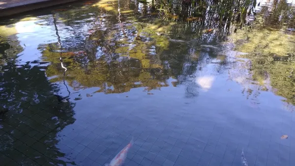Jardim de Burle Marx