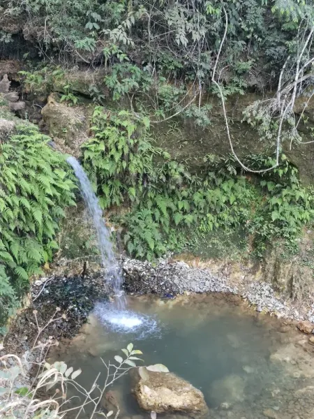 Parque Ecológico do Cortado