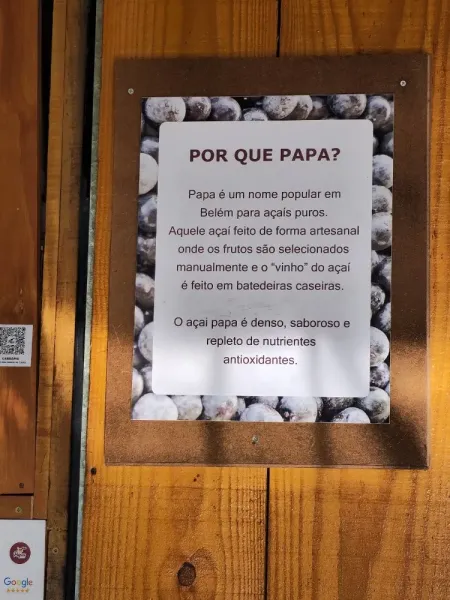 Papa Açaí Nativo 102 Norte