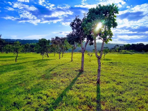 Parque Ecológico do Riacho Fundo
