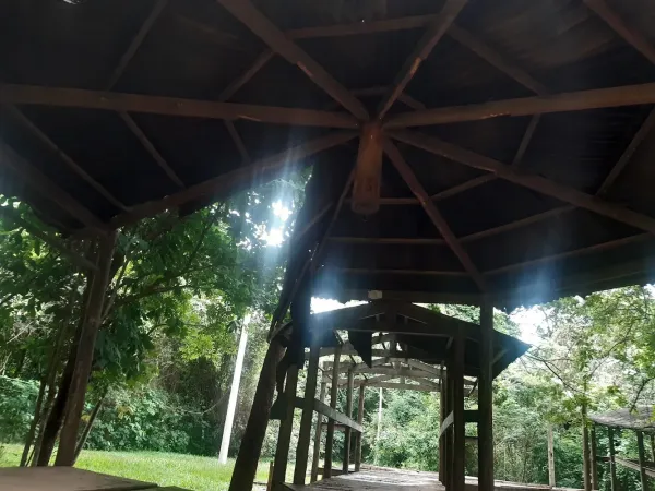Parque do Bosque (Parque Distrital de São Sebastião)