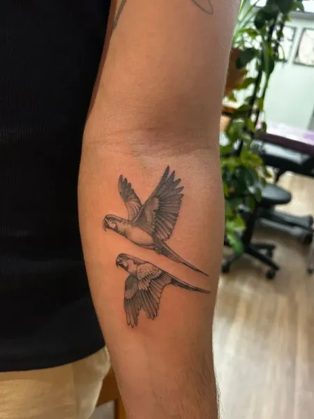 New Ink Tattoo & Arte